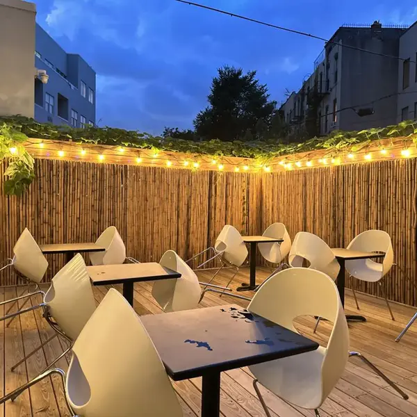 Carib Soul BK back patio at dusk with bamboo fencing and string lights